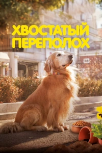 Хвостатый переполох фильм 2024