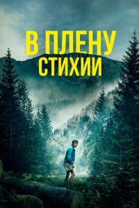 В плену стихии 2024